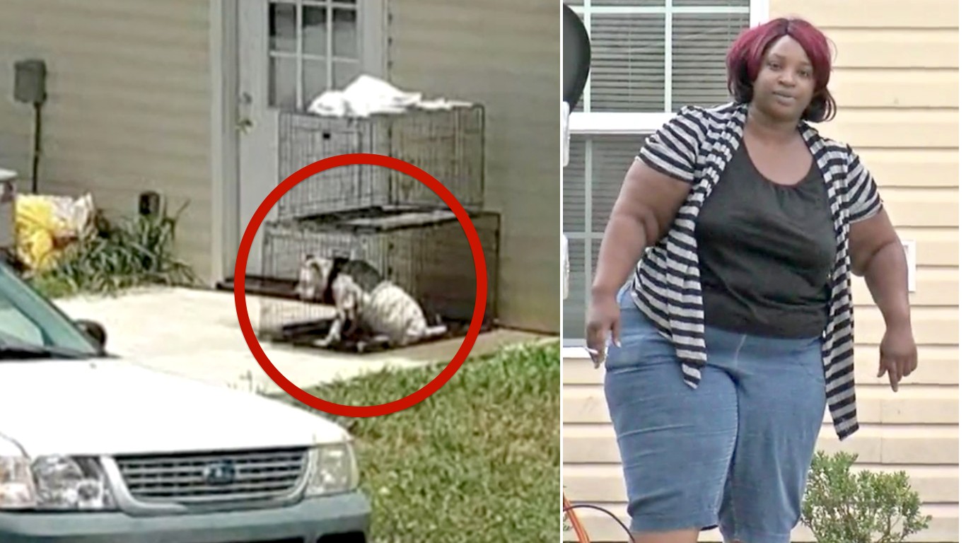 Help rescue dog kept in tiny cage day and night by cruel woman!