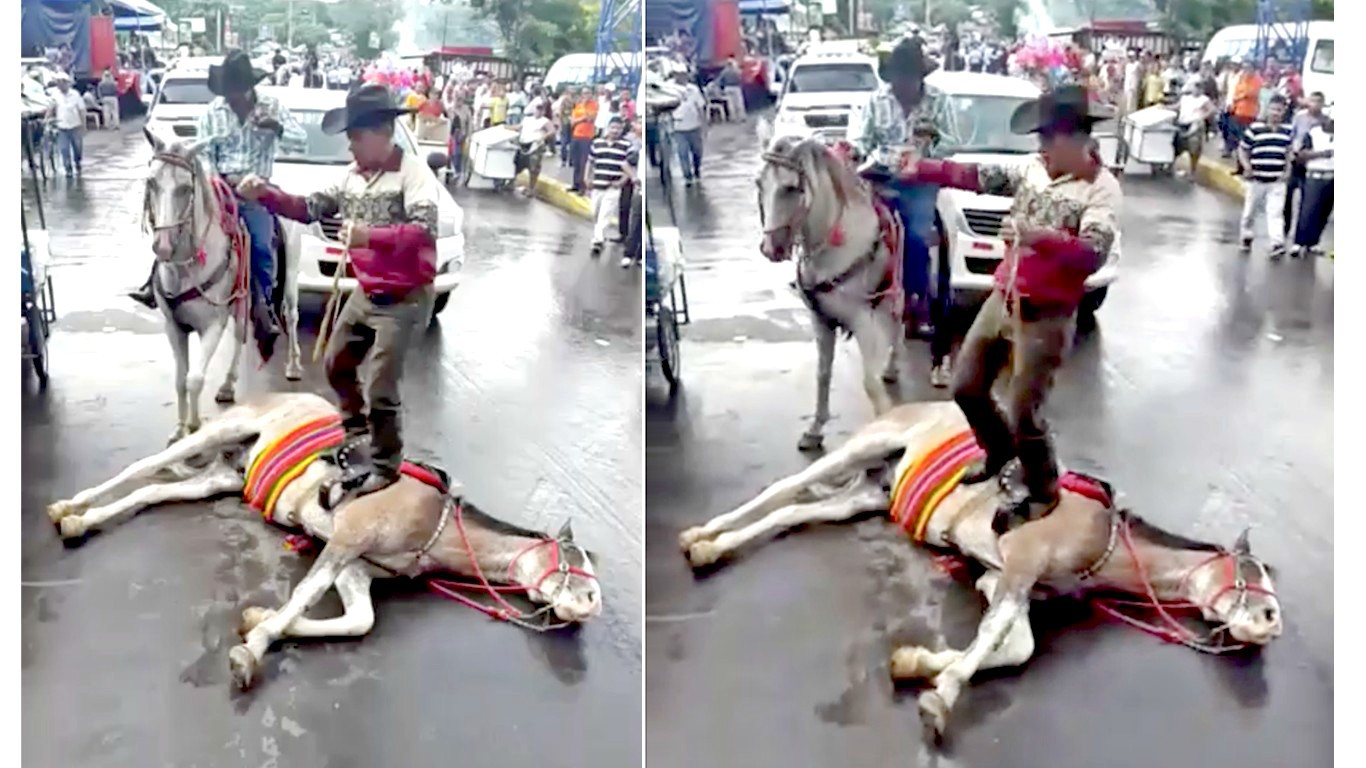 Punish man that abused horse in public and laughed!