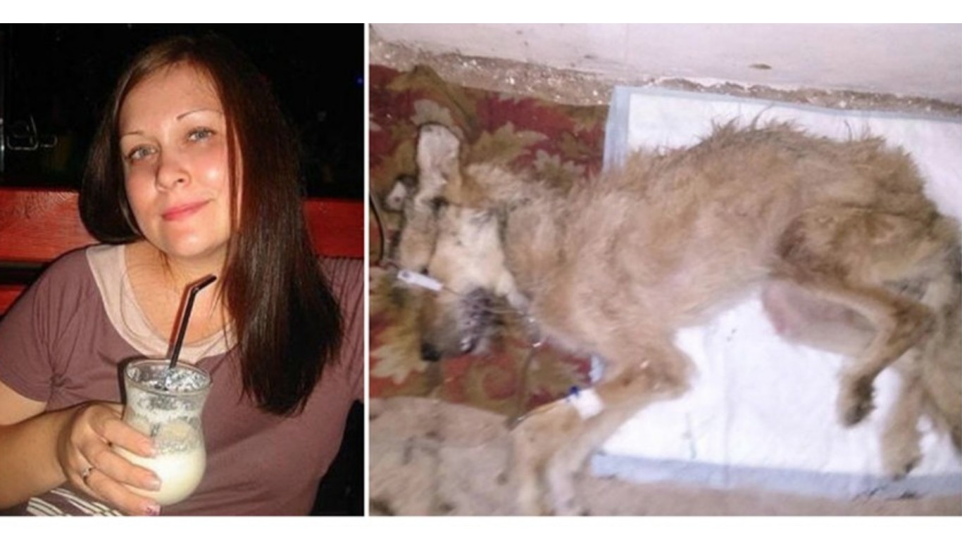 Punish animal shelter director that left numerous dogs to starve until they died!