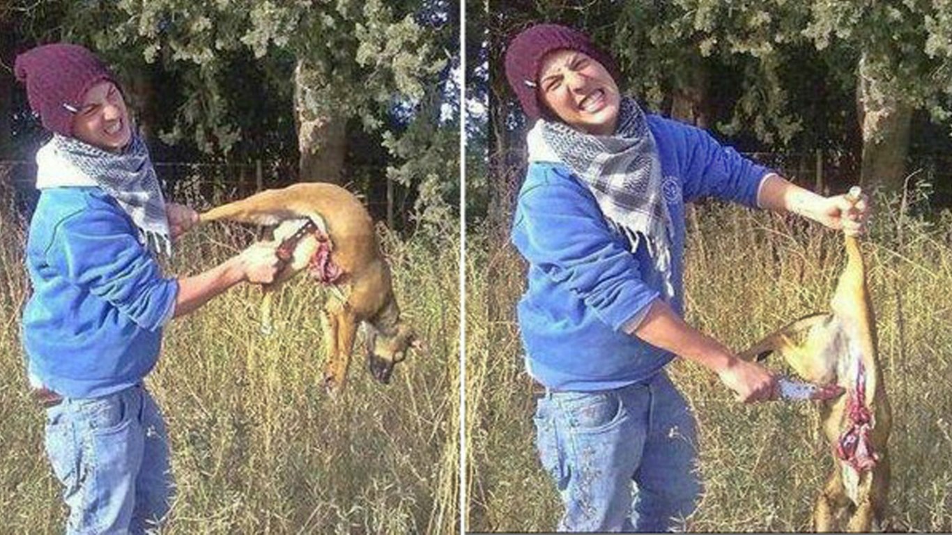 Punish schoolboy that cut puppy in half with knife and posed for photos!