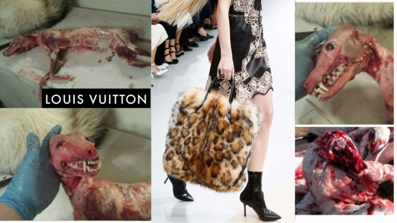 Petition: Countless animals are skinned alive so dumb women can