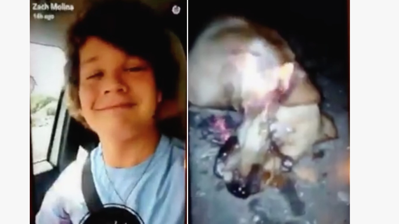 Punish high school student that set dog on fire and proudly posted video online!