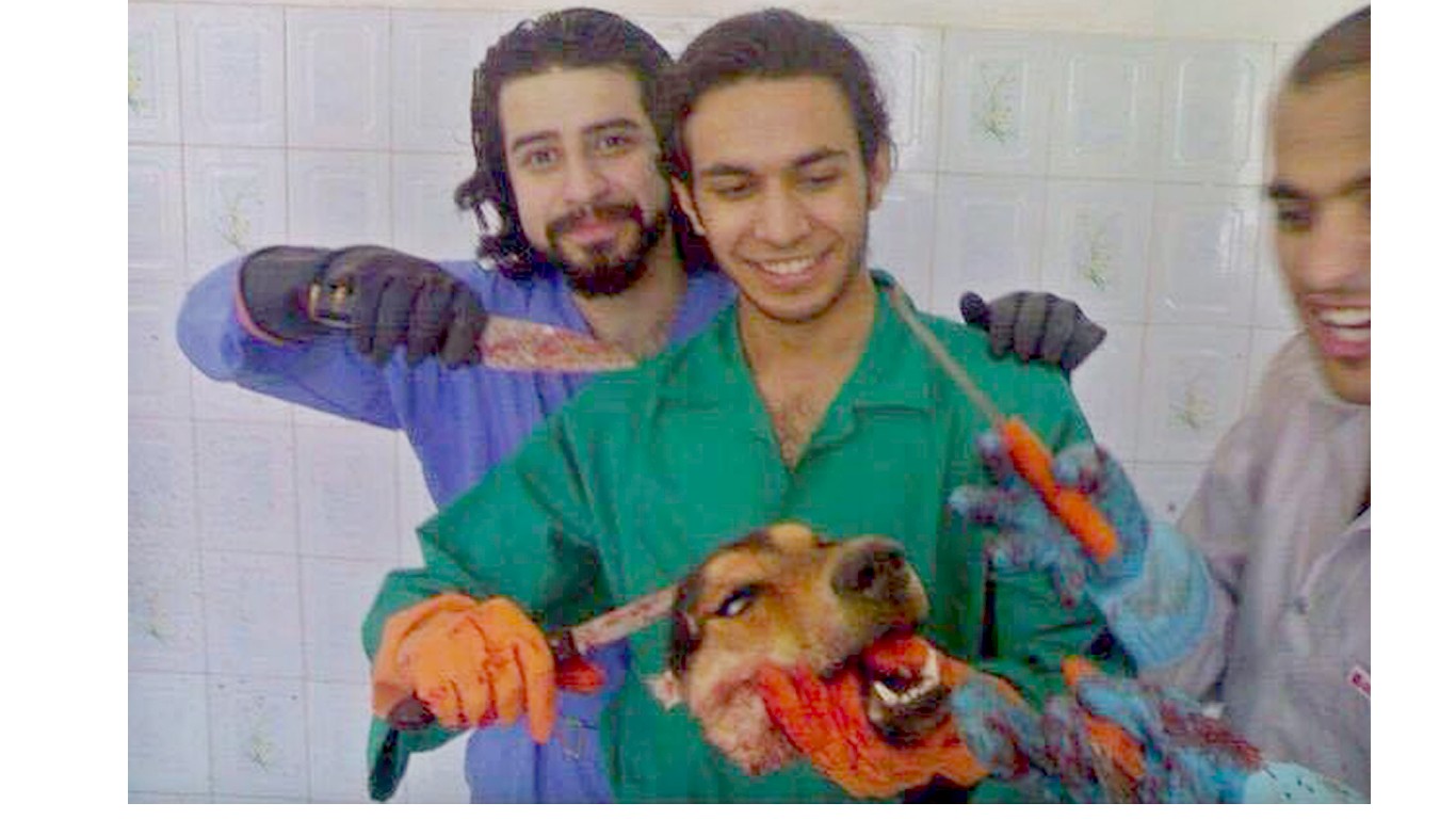 Punish students that cut off dogâ€™s head and posed for photos!