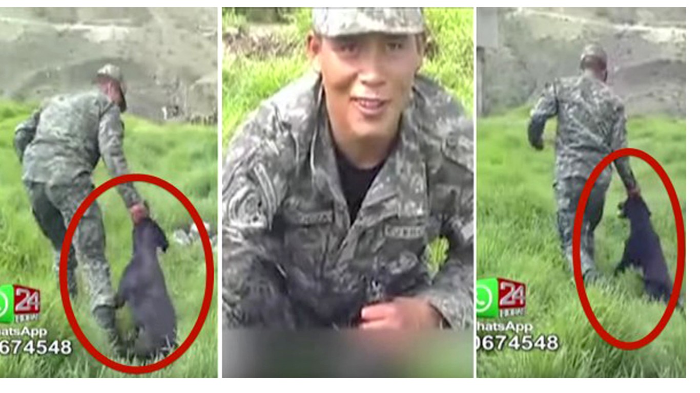 Punish soldiers that attacked dog with screwdriver and dragged him while laughing!