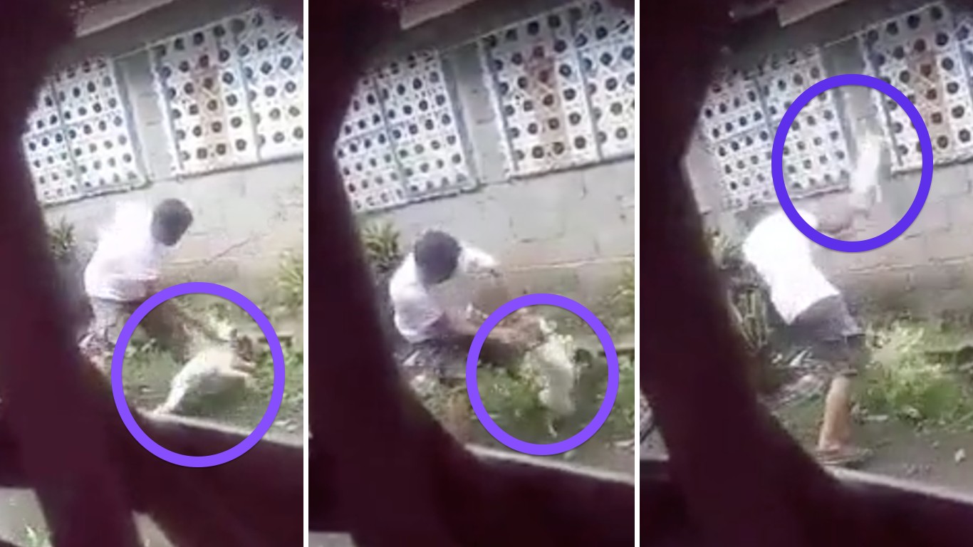 Punish man that slammed dog against wall in fit of rage!