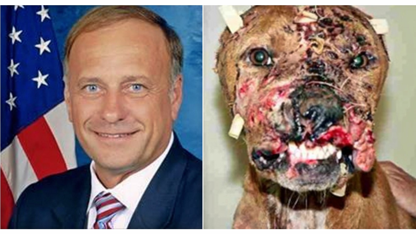 Boycott US senator that believes dog fights should be legal!