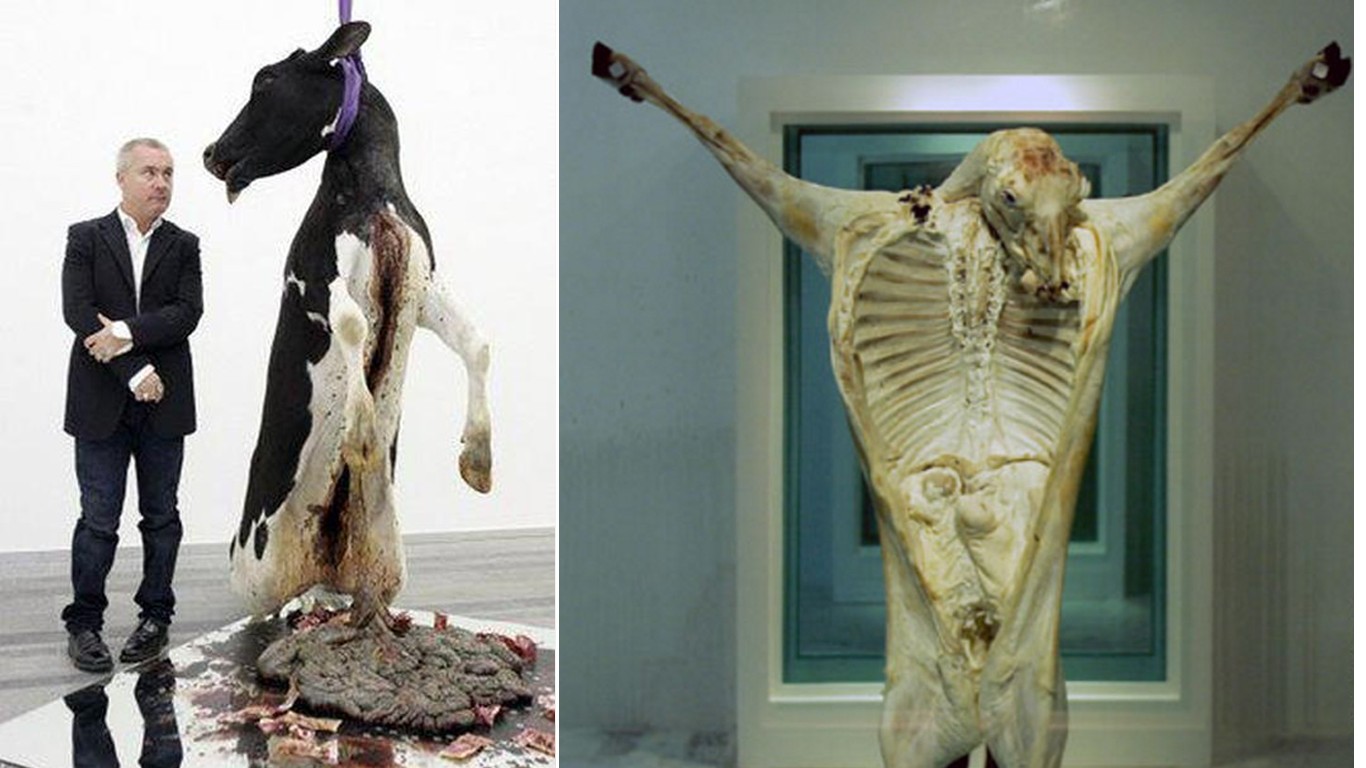 Stop Damien Hirst from abusing animals and calling it art!