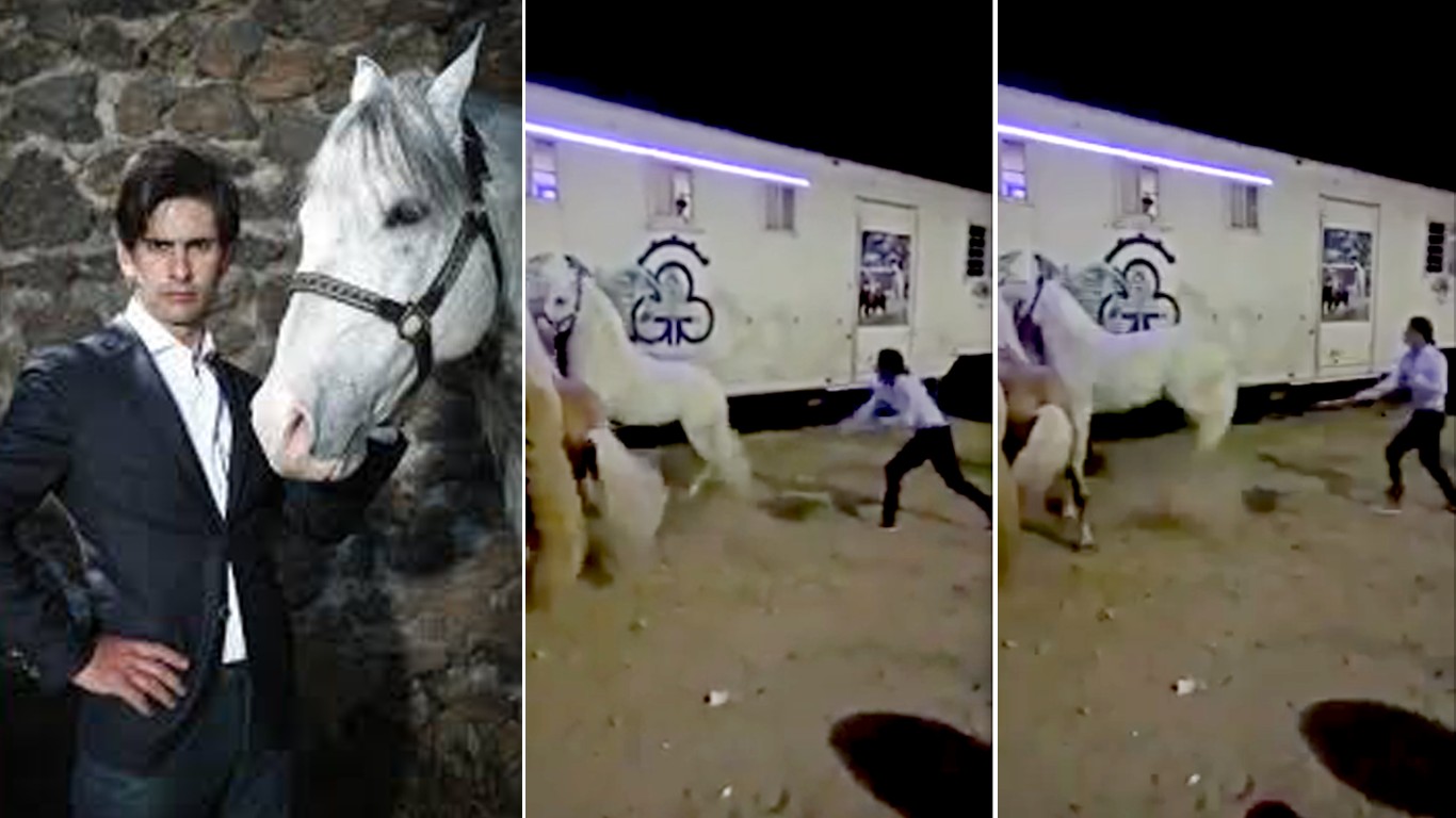 Punish trainer that whipped defenseless horse countless times in fit of rage!