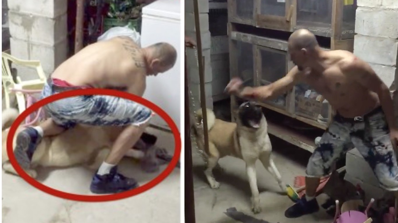 Man filmed slapping and choking dog several times must be punished!