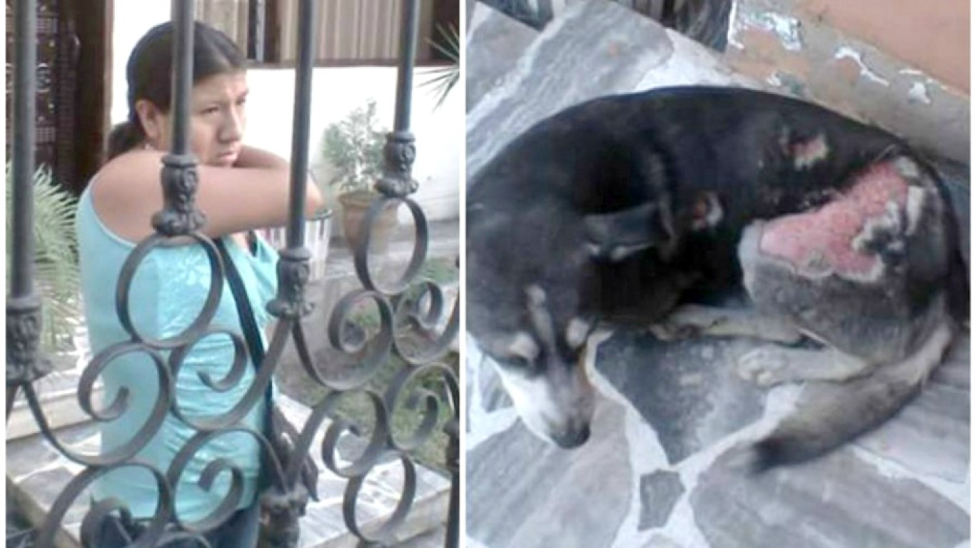 Punish cruel housekeeper that poured boiling water over dog!
