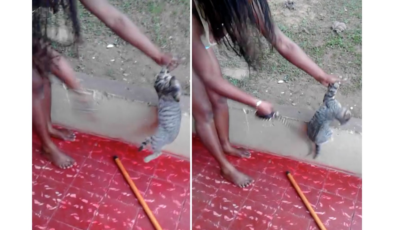 Punish woman that spanked cat with belt repeatedly!