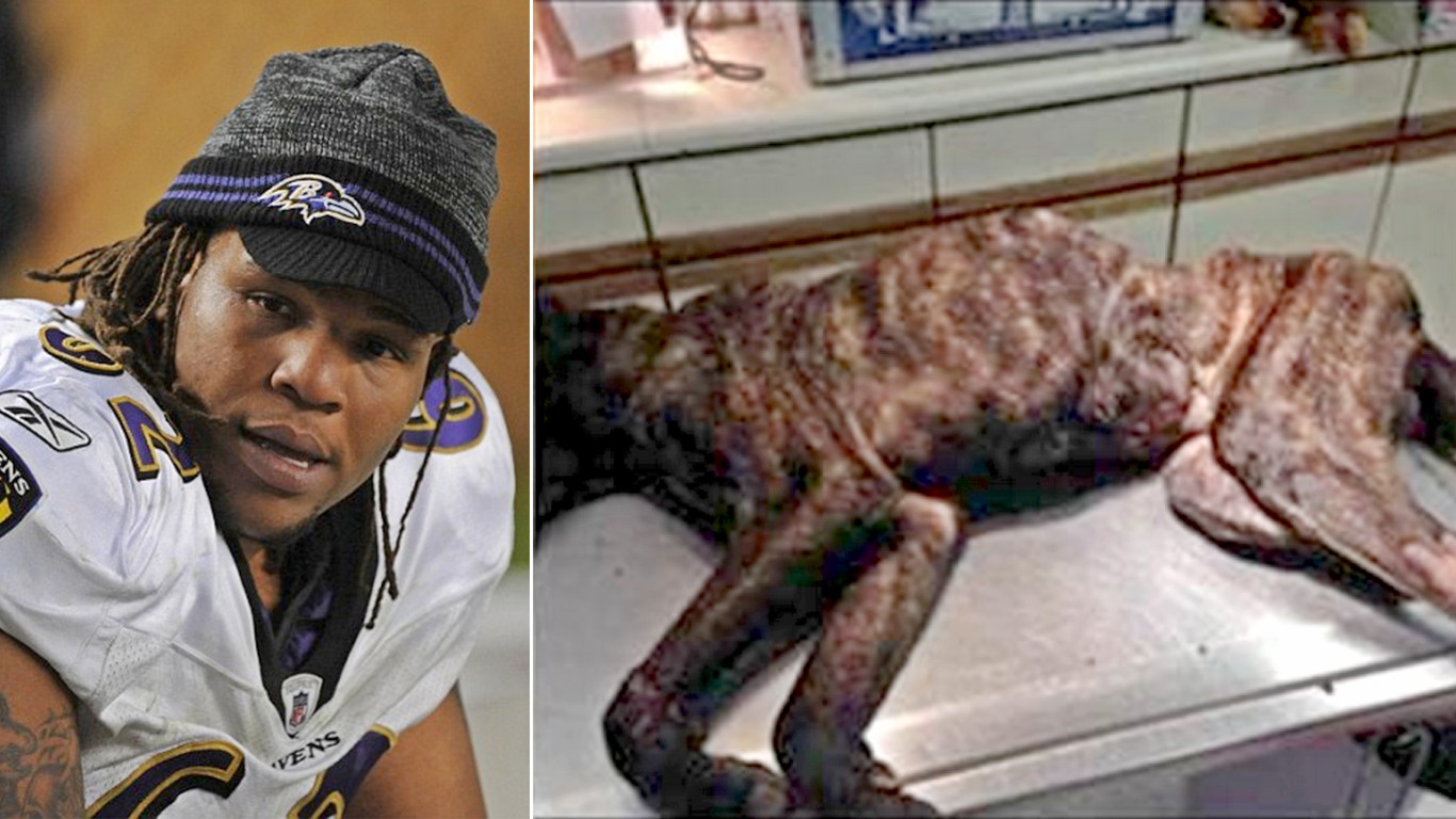 Demand permanent ban from sports for NFL player that starved his dog until it died!