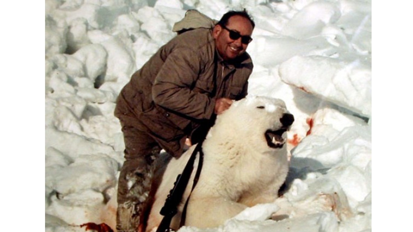 Prevent Chinese businessmen from paying $80, 000 to hunt polar bears in Canada!
