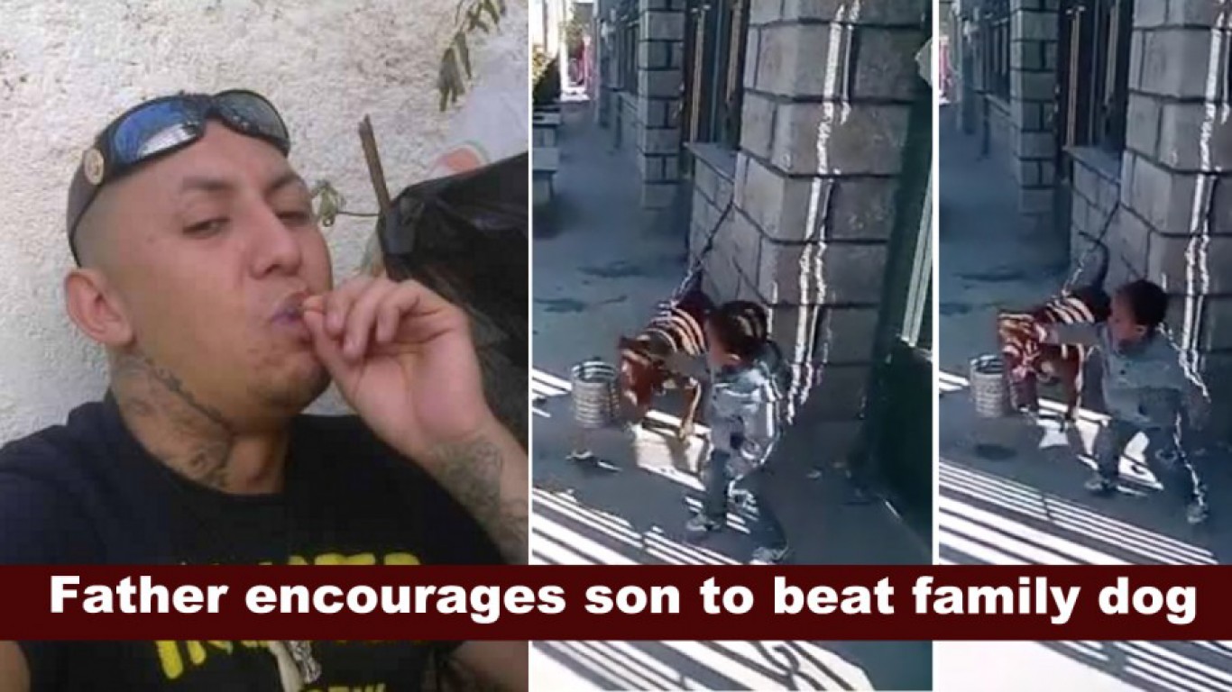 Prosecute proud father that taught son to slap family dog repeatedly!