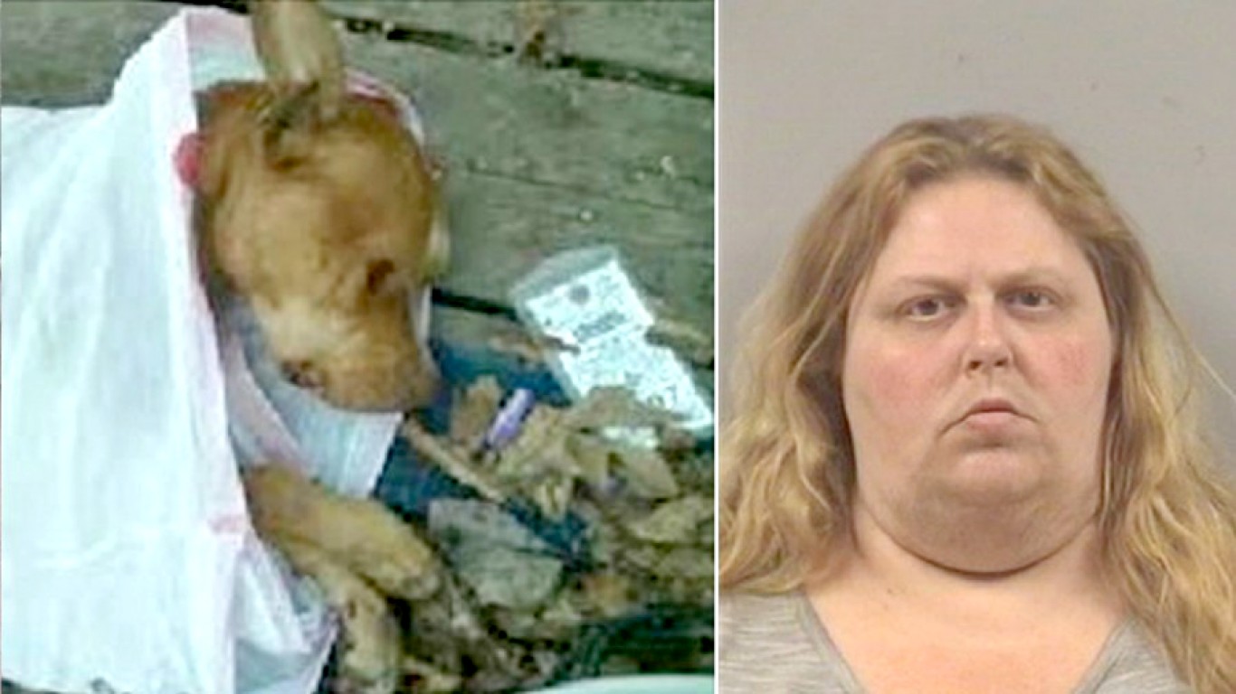 Maximum penalty for woman who starved dog until it died!