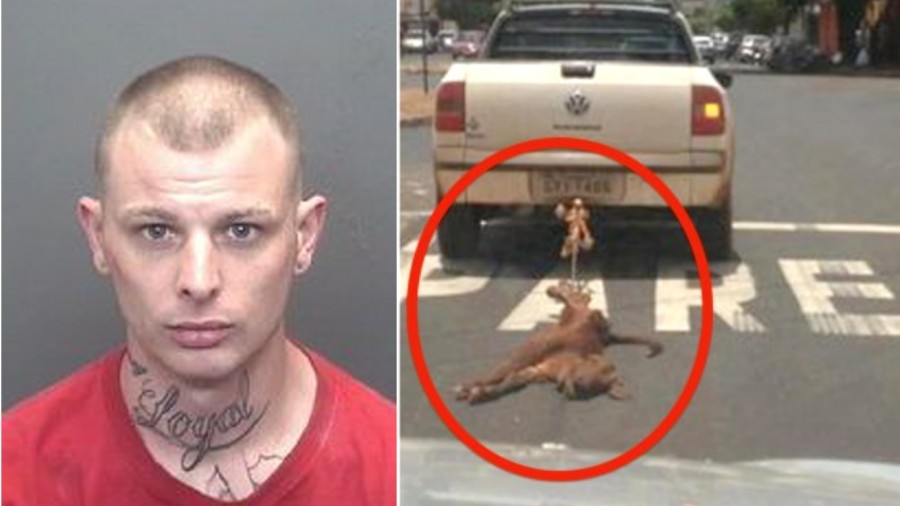 Demand jail time for thug that dragged dog behind car for 5 miles!