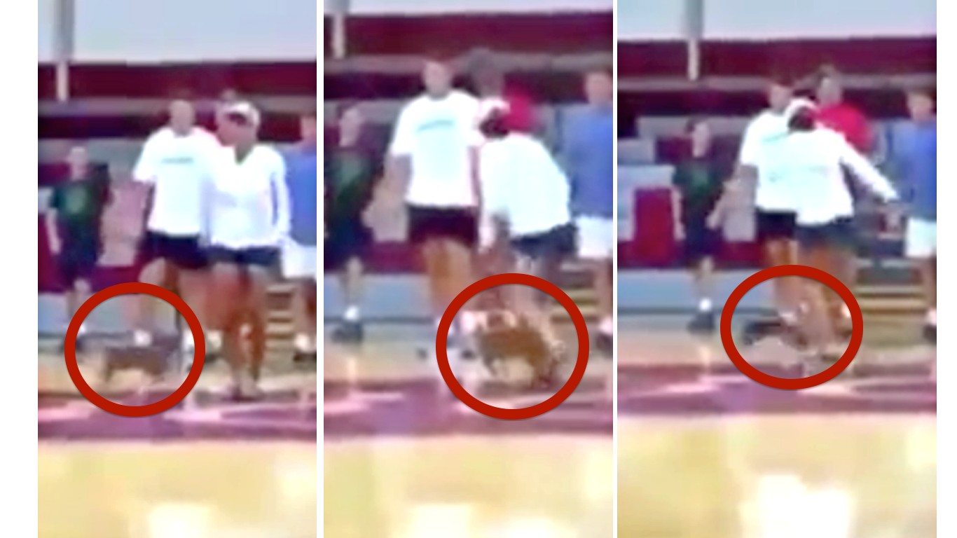 Punish cheerleader coach that kicked her own dog in front of students!