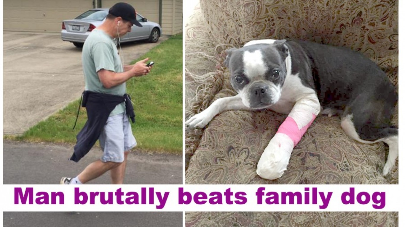 Prosecute man that attacked tiny dog and ran away when confronted!