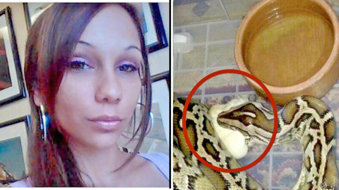 Punish woman that fed her cat to a snake and posted photo online!