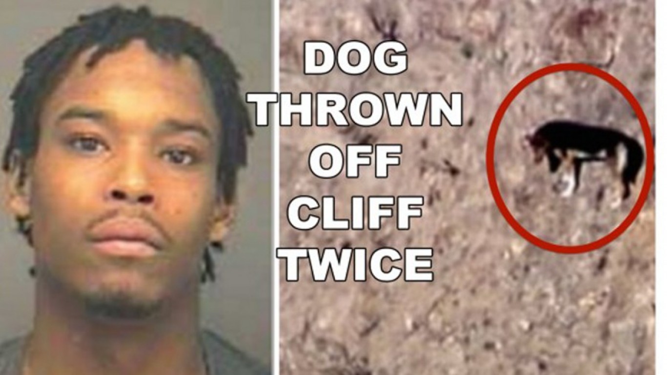Thugs that threw dog over cliff twice have charges dropped! We Want Justice!
