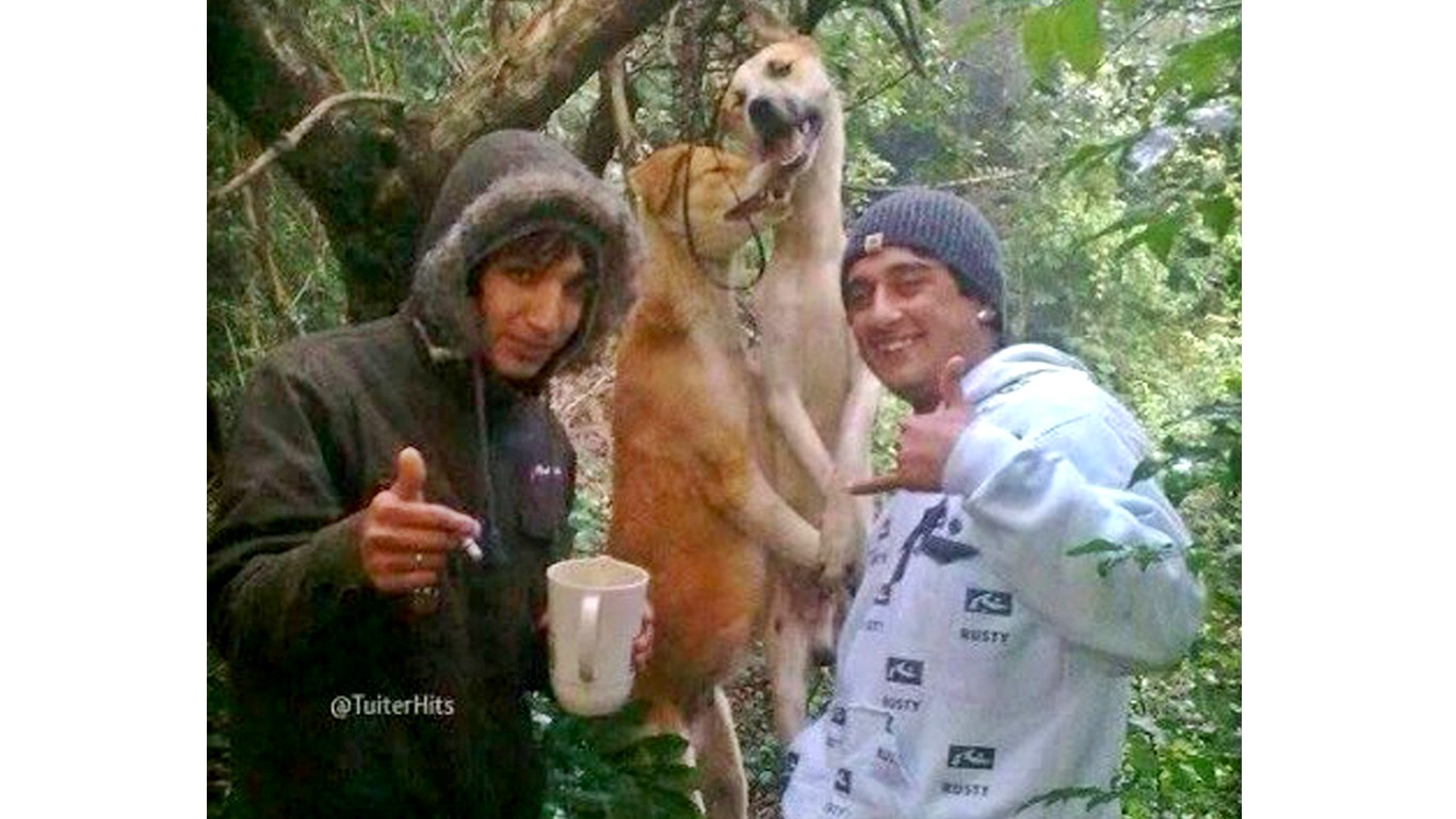Punish monsters that hung dogs from tree and posed for photos while smiling!