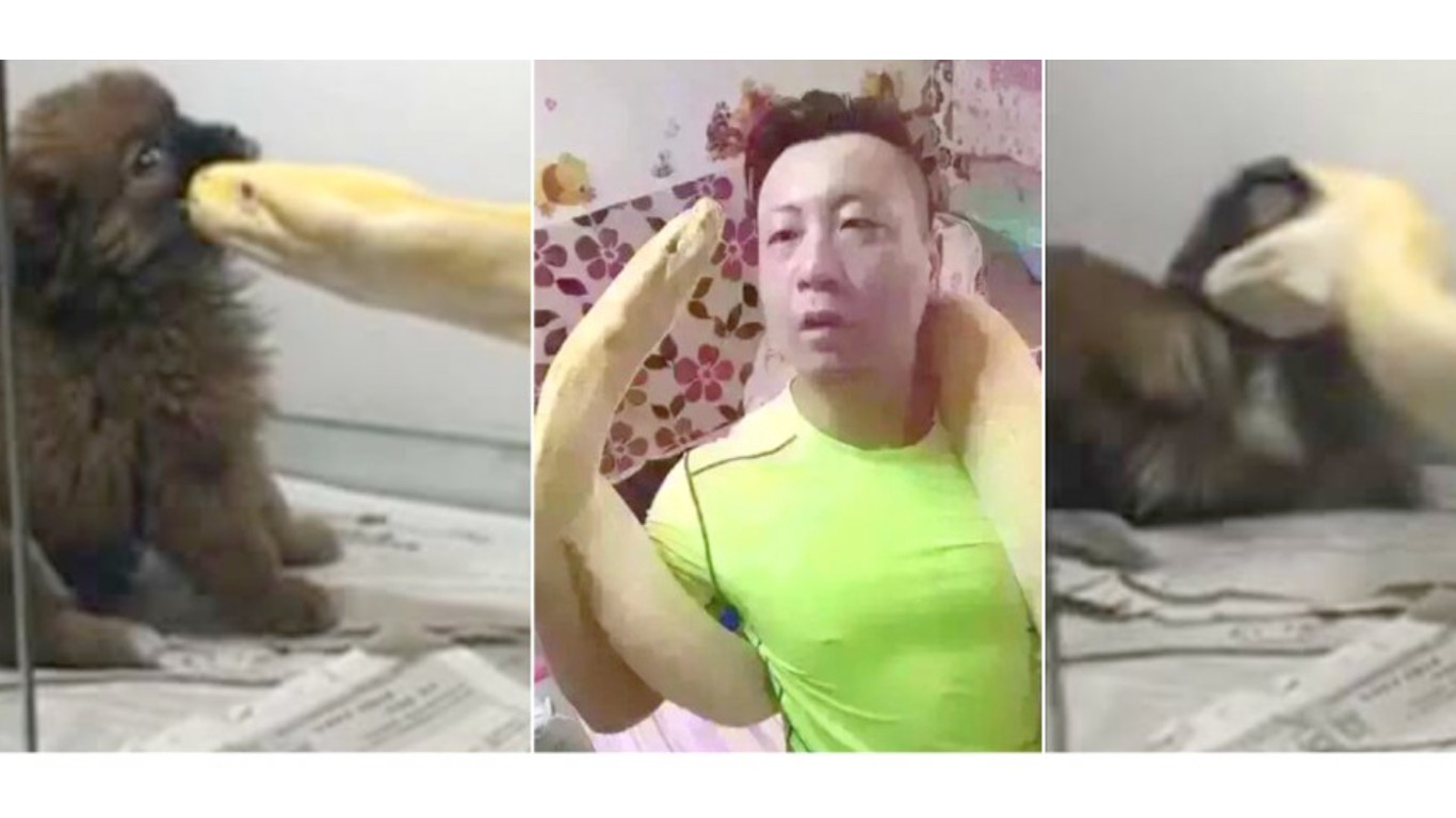 Punish owner who fed puppy to his pet snake!