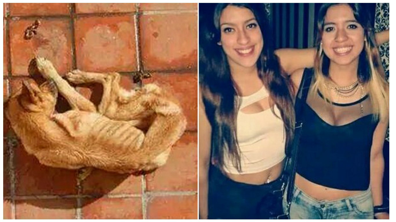 Punish sisters that starved their pet dog for weeks!