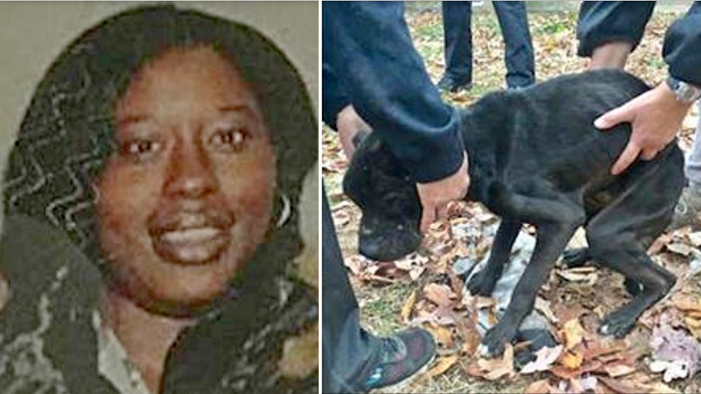 Demand jail time for woman who chained her dogs outside and left them to starve for weeks!