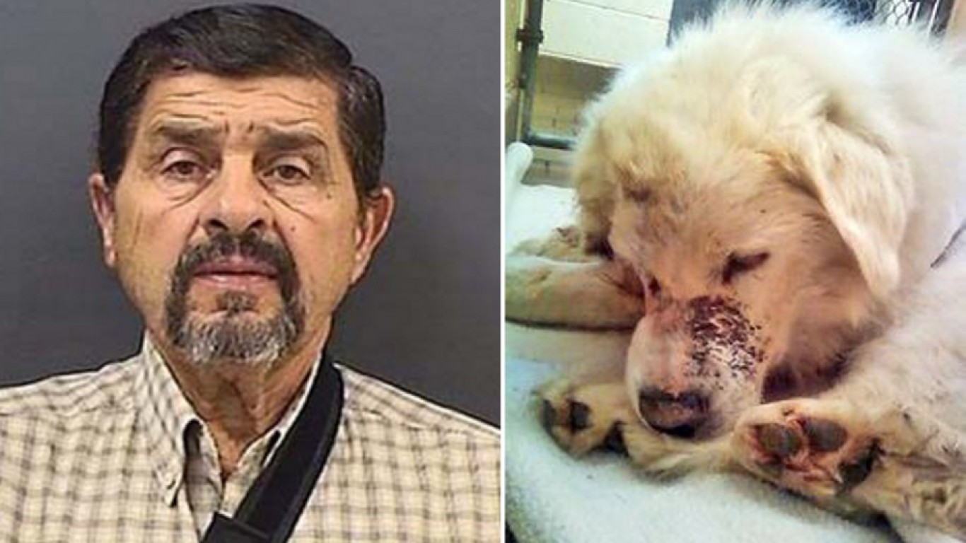 Maximum penalty for driver that dragged dog behind truck!