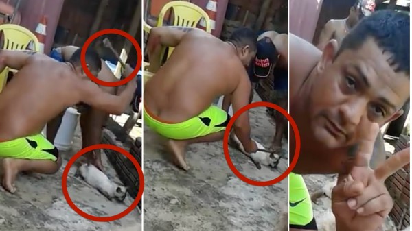 Punish men that hit cat with crowbar and waved to the camera!
