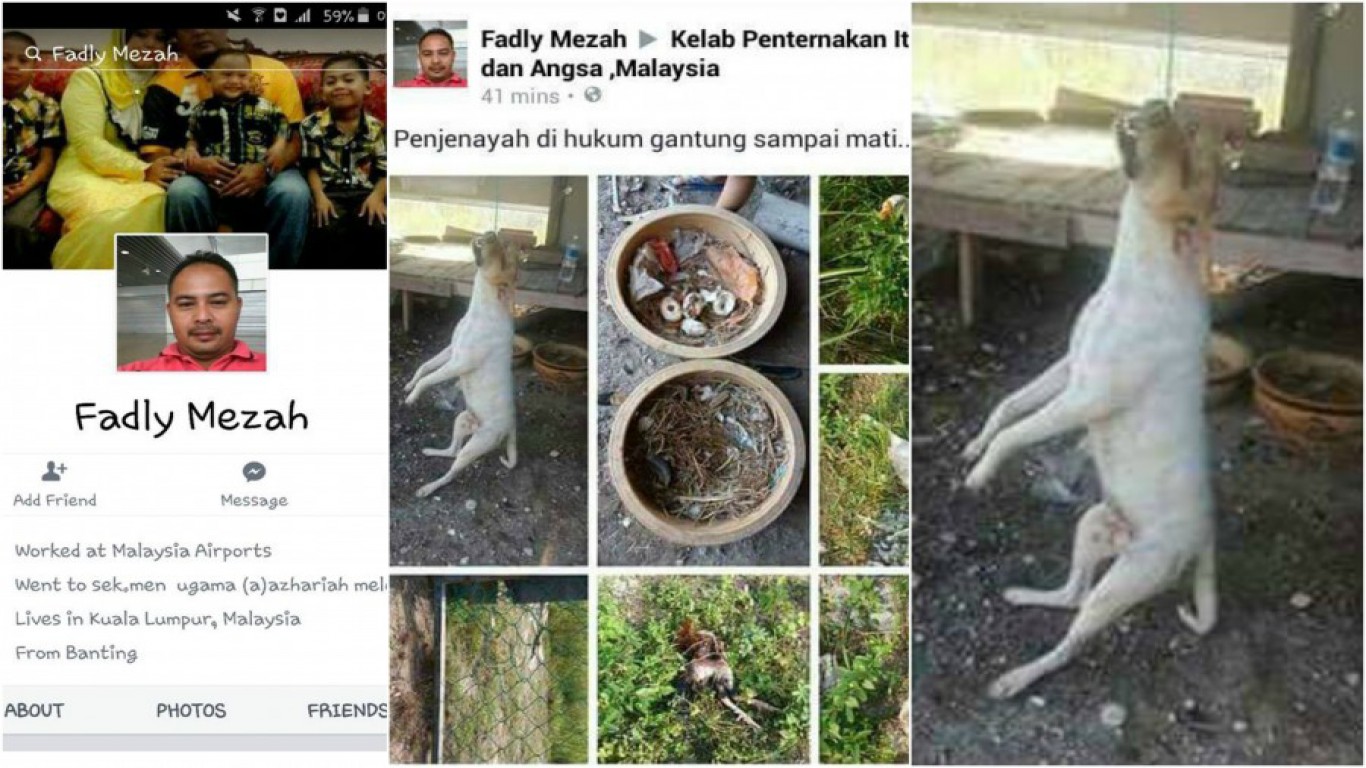Justice for dog hung by cruel airport employee in Malaysia!