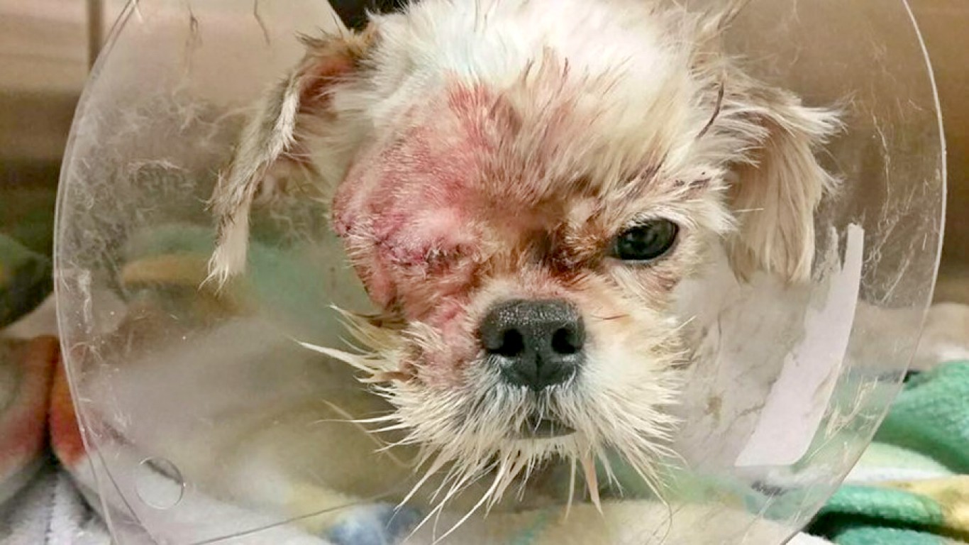 Justice for Reagan â€“ hit with metal pipe until his eye popped out!