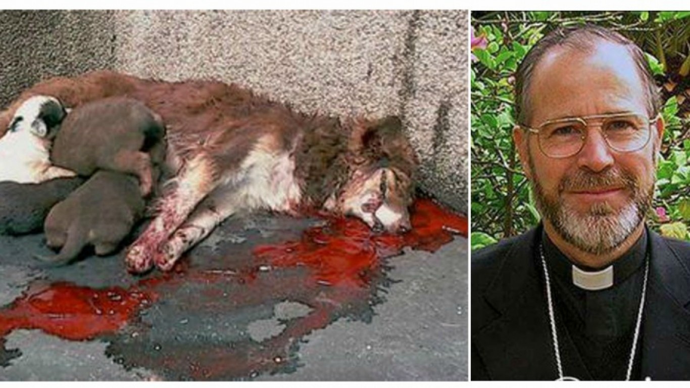 Excommunicate monsignor who believes all stray dogs should be exterminated!
