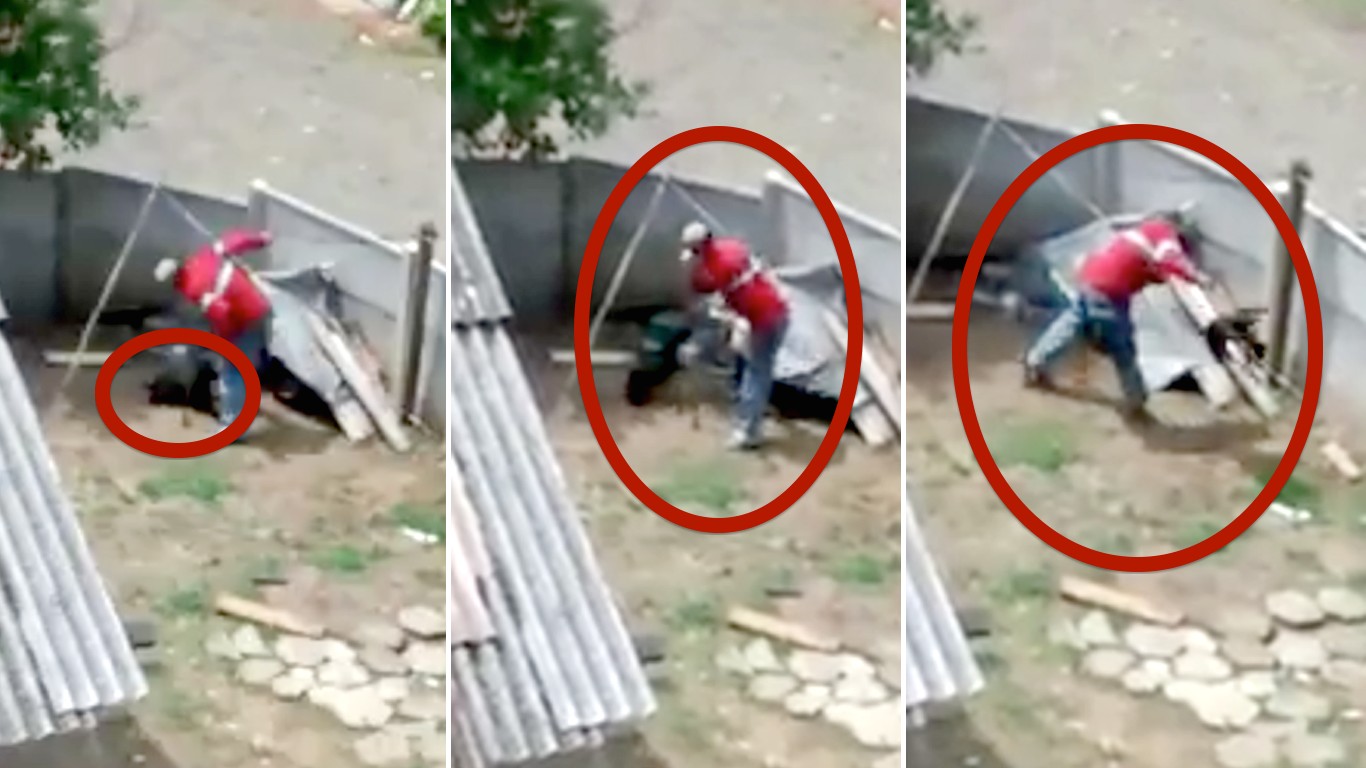 Justice for pet dog slapped and tossed around by cruel owner!
