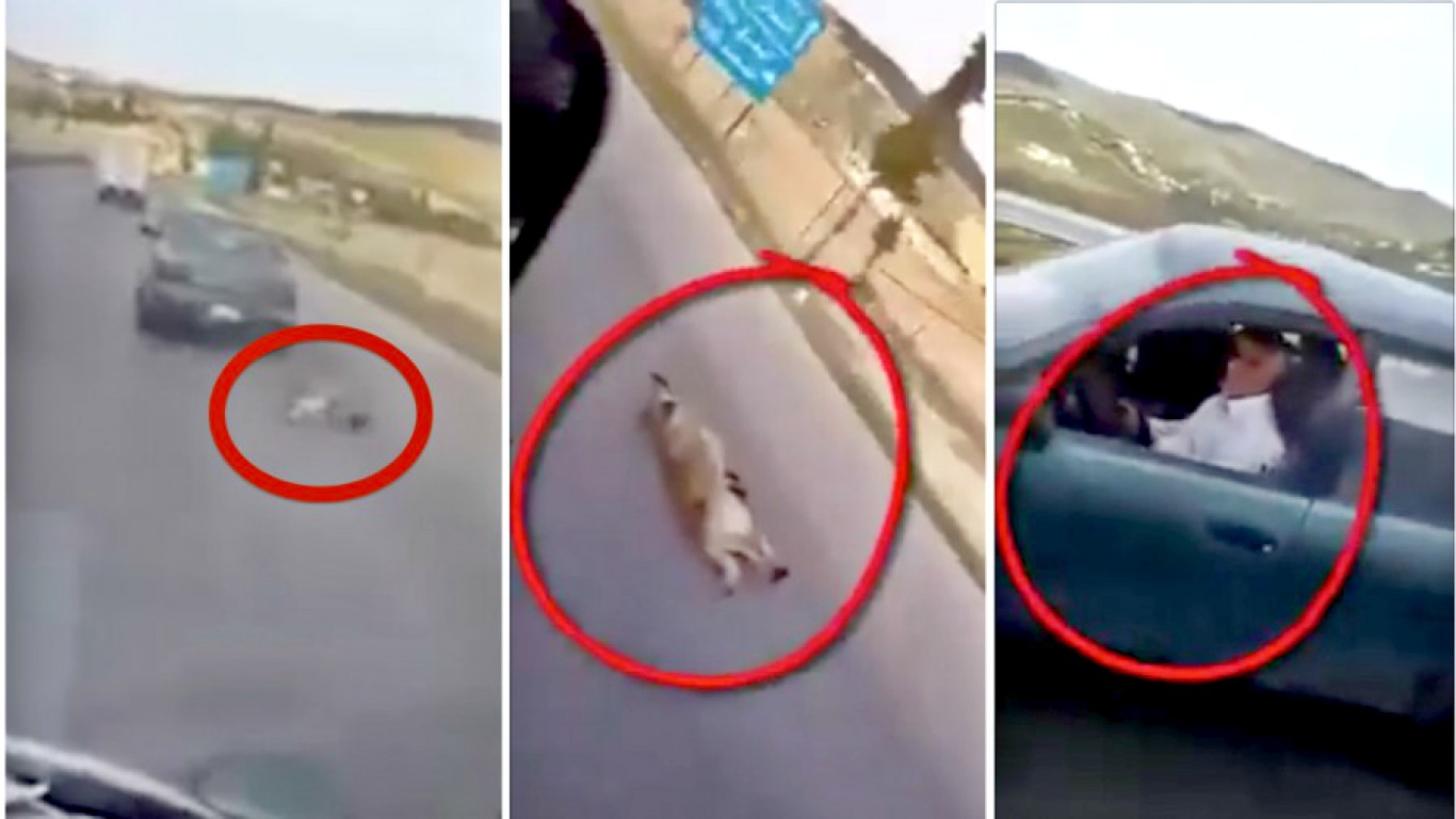 Justice for dog dragged behind car for miles!