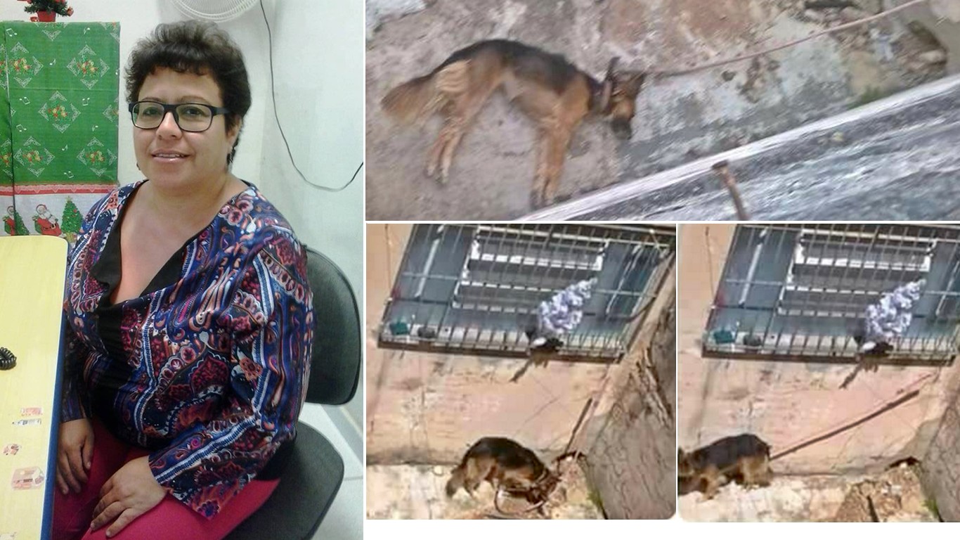 Punish woman that left dog chained outside in the heat with no food and water until it died!