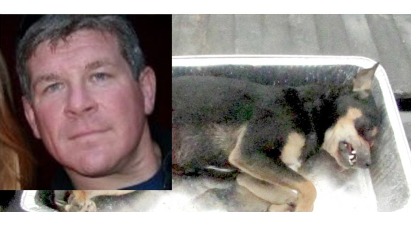 Justice For Bella â€“ Fire police officer that shot innocent pet dog!