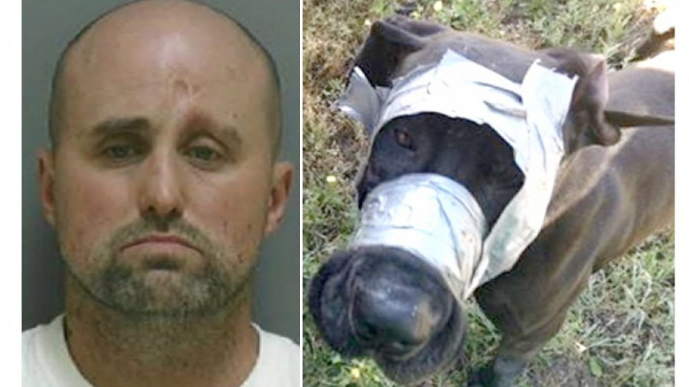 Maximum penalty for jerk that duct taped dog to prevent her from barking!