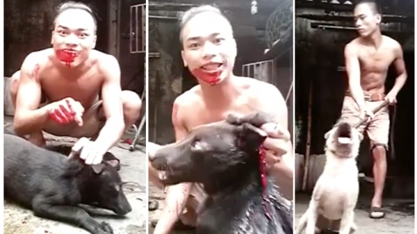 Man clubs dogs until they die, then drinks their blood! Support a ban on dog meat in Vietnam!