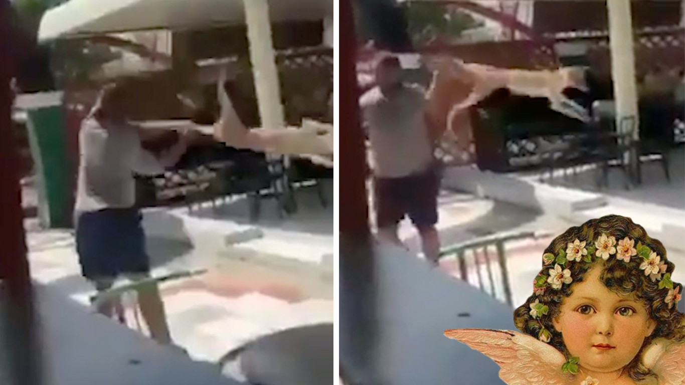 Punish jerk who hurled dog in the air countless times while laughing!