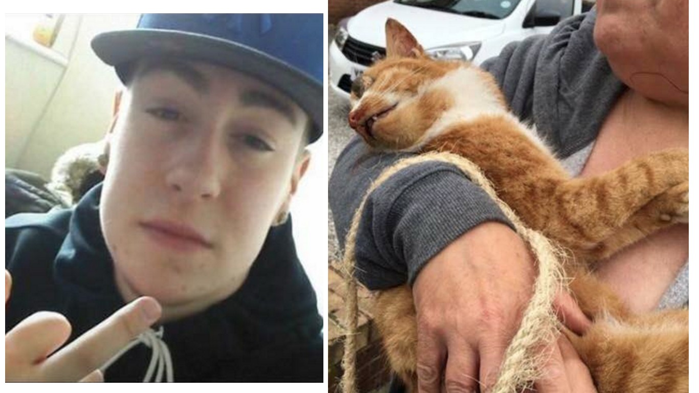 Punish English thugs that attacked Leo the cat and left him to die!
